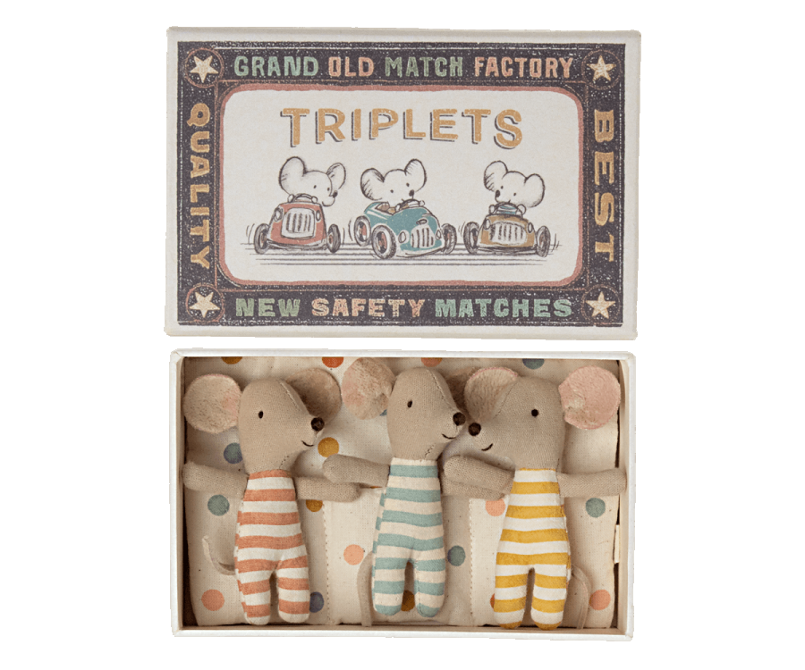 Baby Mice Triplets in Matchbox