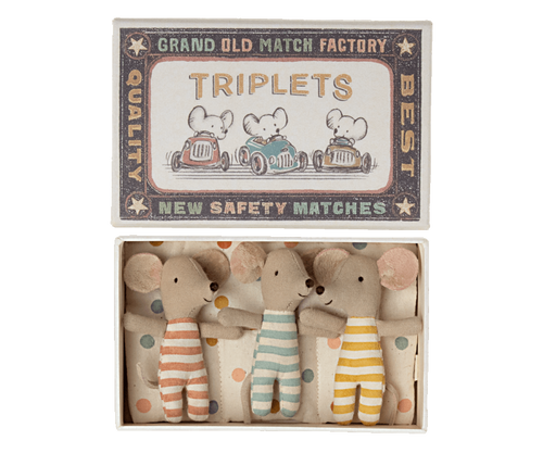 Baby Mice Triplets in Matchbox