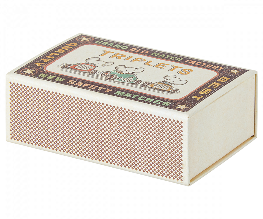 Baby Mice Triplets in Matchbox